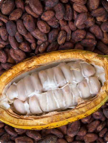 organic cocoa