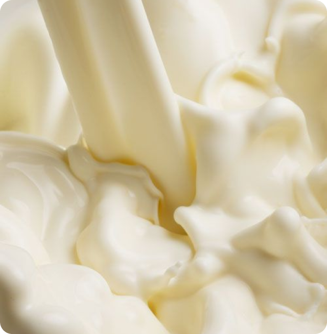 Camel Milk