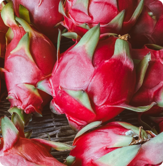 DRAGON FRUIT