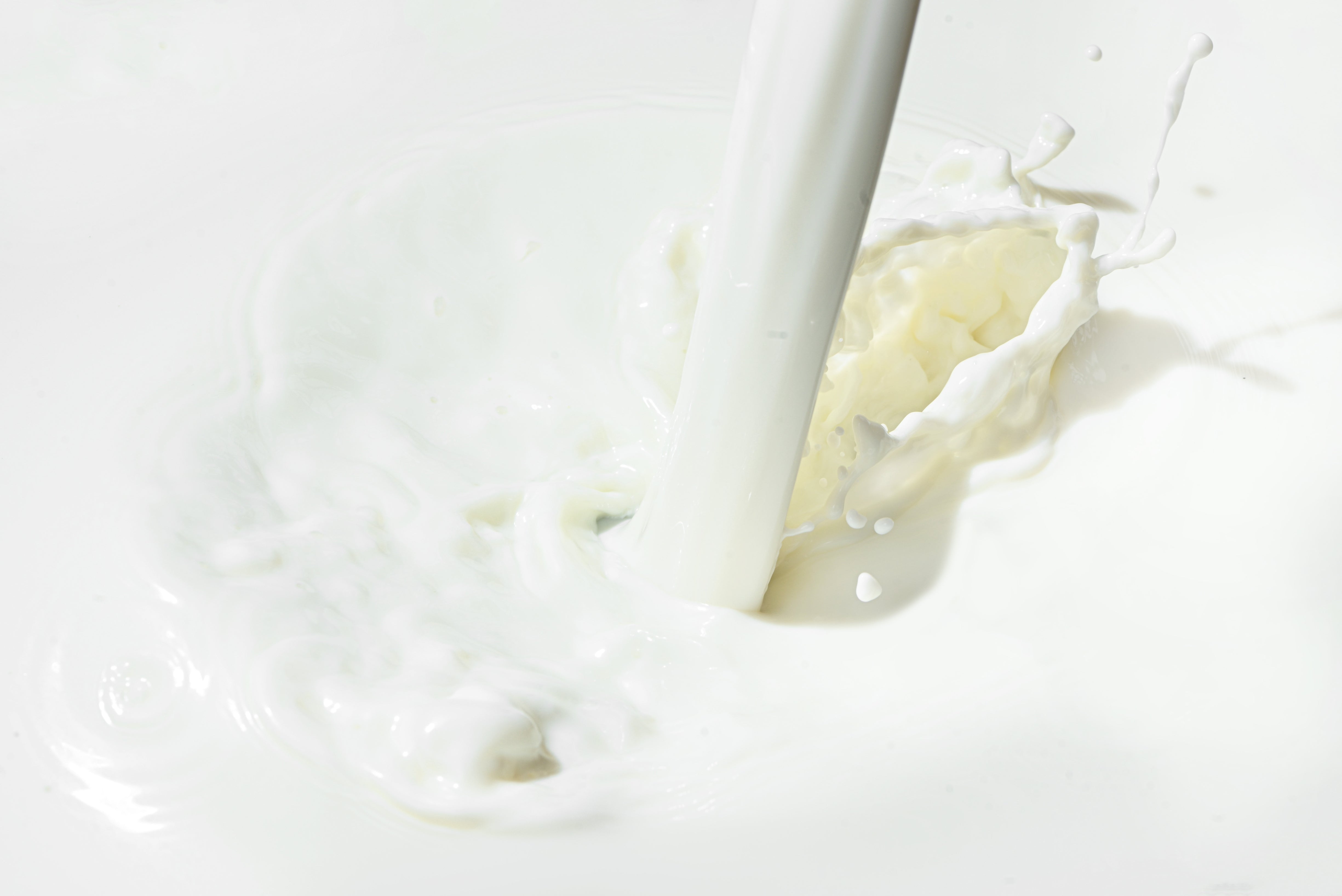 THE SCOOP ON PURITY: WHY ICEBERG ORGANIC ICECREAMS CHOOSE BEST MILK FOR A CREAMIER TREAT