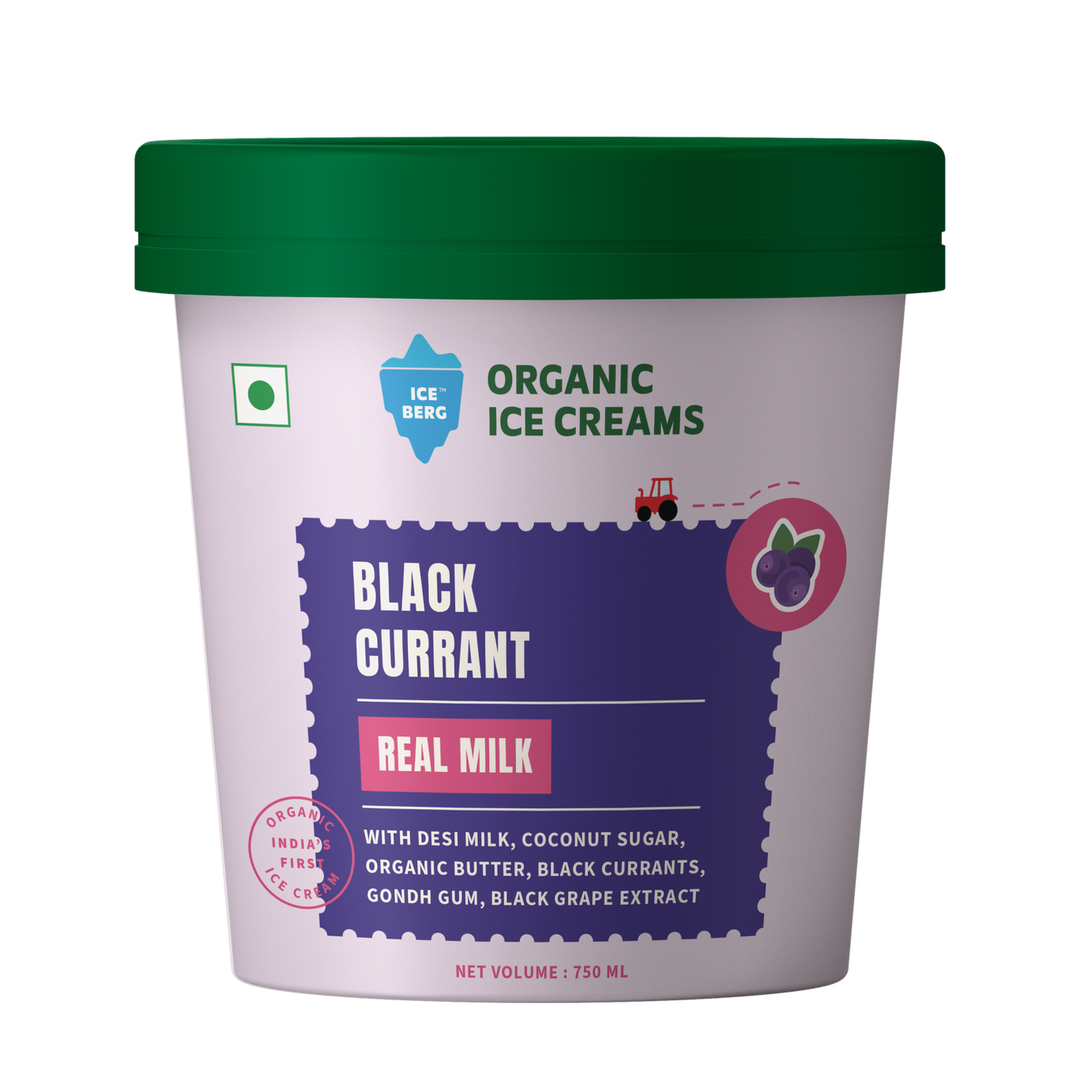 Black Currant