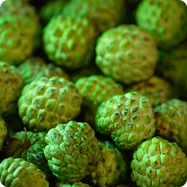 Sitaphal is sourced from seasonal orchards known for producing naturally creamy, aromatic fruits.