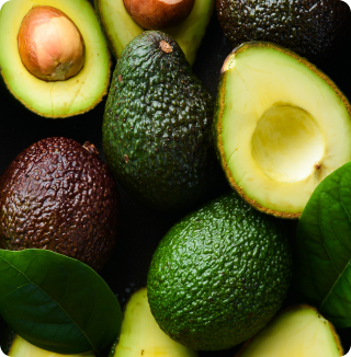 AVOCADO