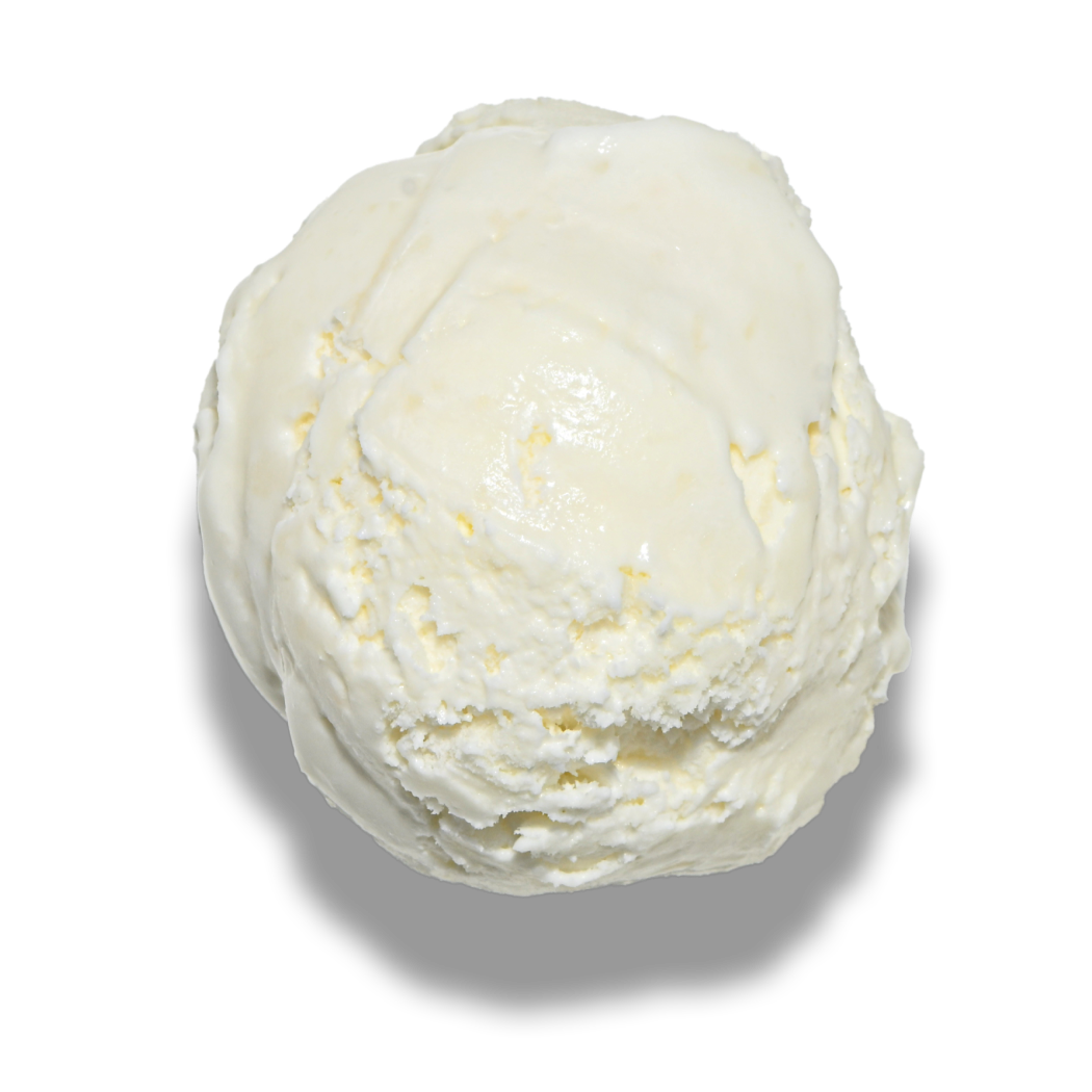 Bean Vanilla